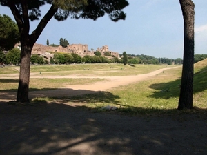 d260  Circus Maximus