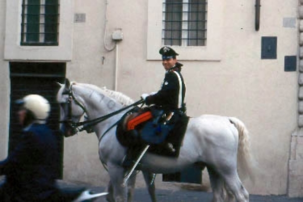 e11 Politie te paard