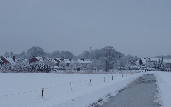 sneeuw 2010 004