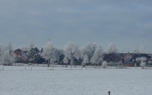winter 2009 (10)