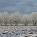 winter 2009 (11)