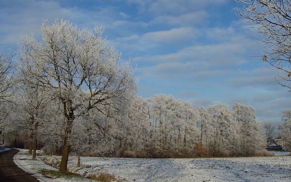 winter 2009 (2)