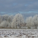 winter 2009 (5)