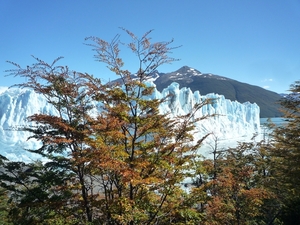 2c Los Glaciares NP _Perito Moreno gletsjer  _P1050531