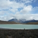 3b Torres del Paine NP  _omg  _Laguna Amarga _P1050735