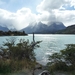 3c Torres del Paine NP _Lago Pehoe _P1050780