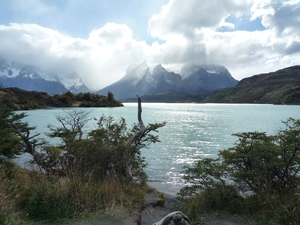 3c Torres del Paine NP _Lago Pehoe _P1050780