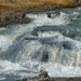 3c Torres del Paine NP _Rio Paine, cascade _P1000173