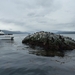 5c Beagle kanaal cruise _Isla de Los Lobos _met zeeleeuwen _P1000