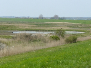 burg-haamstede pan 014