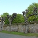 burg-haamstede pan 092