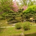 Japanse tuin lente 2010 020