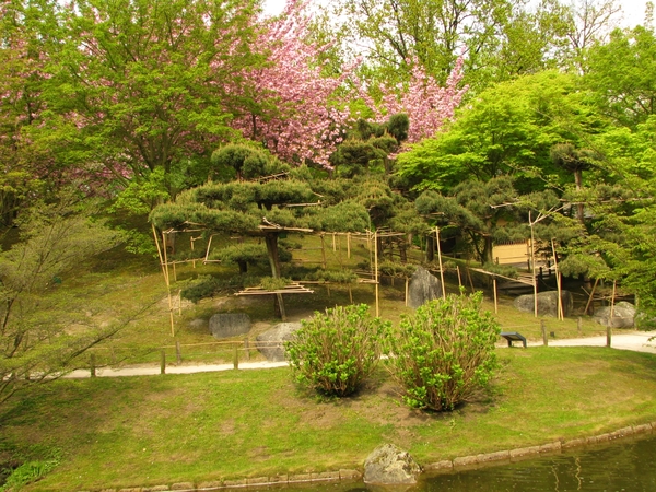 Japanse tuin lente 2010 020