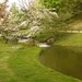 Japanse tuin lente 2010 022