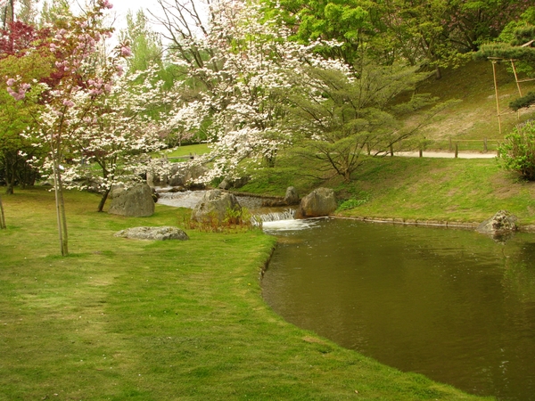 Japanse tuin lente 2010 022