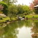 Japanse tuin lente 2010 046