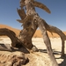 Namibie, Sossusvlei Deadvlei met dode acacia