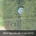Signalisatie SKW 5 mei 2010 (96)