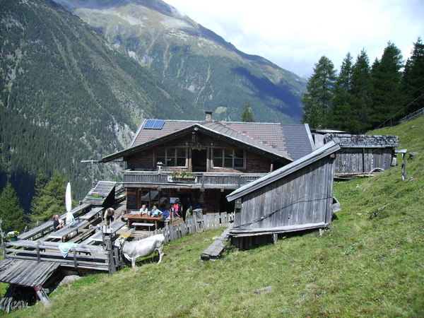 Bacherwandalm 1620 m