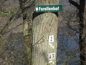 woffelsbach2010 (22) (Small)