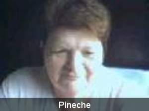 Pineche
