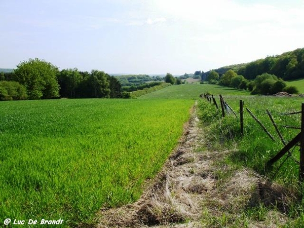 Ardennen wandeling Nismes