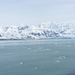 ALASKAcruise Hubbard Glacier (17)