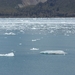 ALASKAcruise Hubbard Glacier (19)