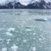 ALASKAcruise Hubbard Glacier (25)