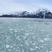 ALASKAcruise Hubbard Glacier (26)