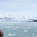 ALASKAcruise Hubbard Glacier (33)