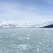 ALASKAcruise Hubbard Glacier (39)