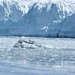 ALASKAcruise Hubbard Glacier (53)