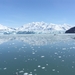 ALASKAcruise Hubbard Glacier (58)