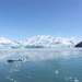 ALASKAcruise Hubbard Glacier (62)