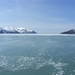 ALASKAcruise Hubbard Glacier (65)