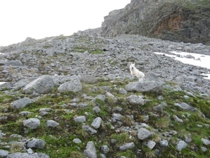 20090713 HoAlSp 387 Hochalmspitze