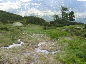 20090714 HoAlSp 462 Aichholzerhut