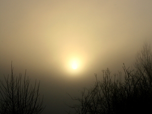 De zon breekt door de mist