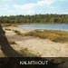 Kalmthout heide