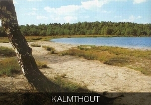 Kalmthout heide
