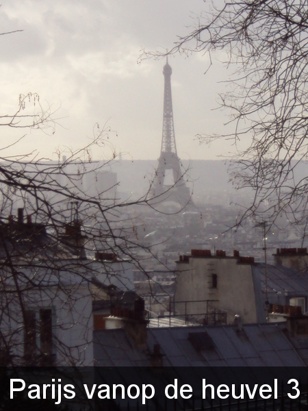 Parijs vanop de heuvel 3