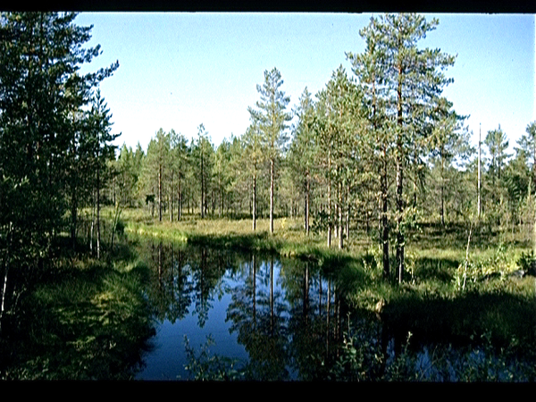 Kareli  (Finland)