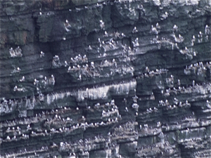 Cliffs of Mohair  (Ierland)