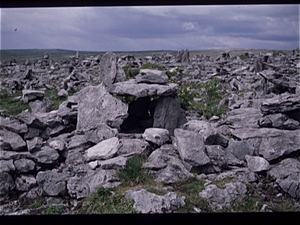 The Burren  (Ierland)