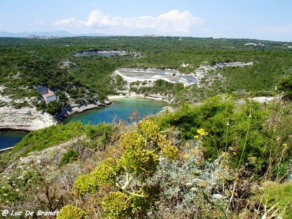 Corsica Corse