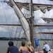 Antwerpen  Tall Ships Race (12)