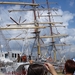 Antwerpen  Tall Ships Race (15)