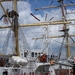 Antwerpen  Tall Ships Race (16)
