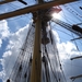 Antwerpen  Tall Ships Race (22)